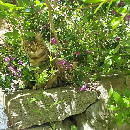 La Bulle Carree - Centre Historique Medieval -