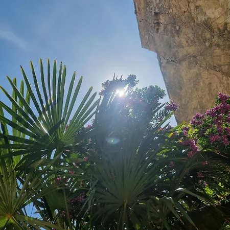 La Bulle Carrée Village La Palme