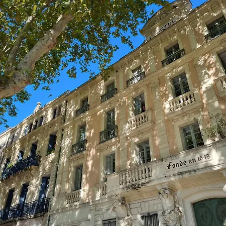Homestay La Bulle Carree - Centre Historique Medieval - La Palme