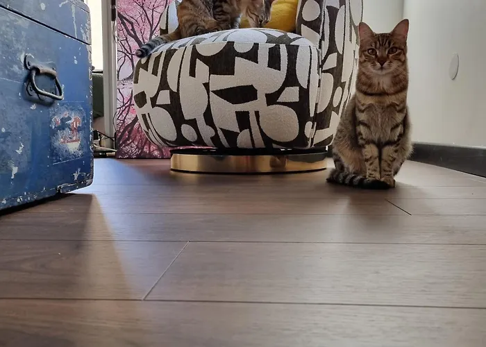 La Bulle Carree - Centre Historique Medieval -