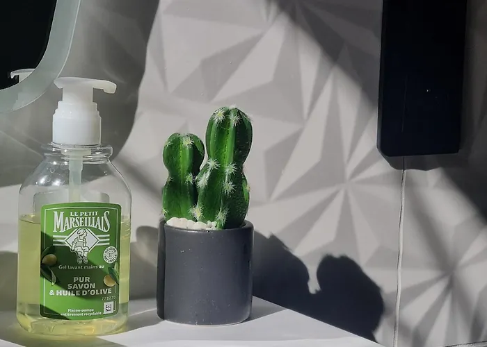 La Bulle Carree - Centre Historique Medieval - Homestay *